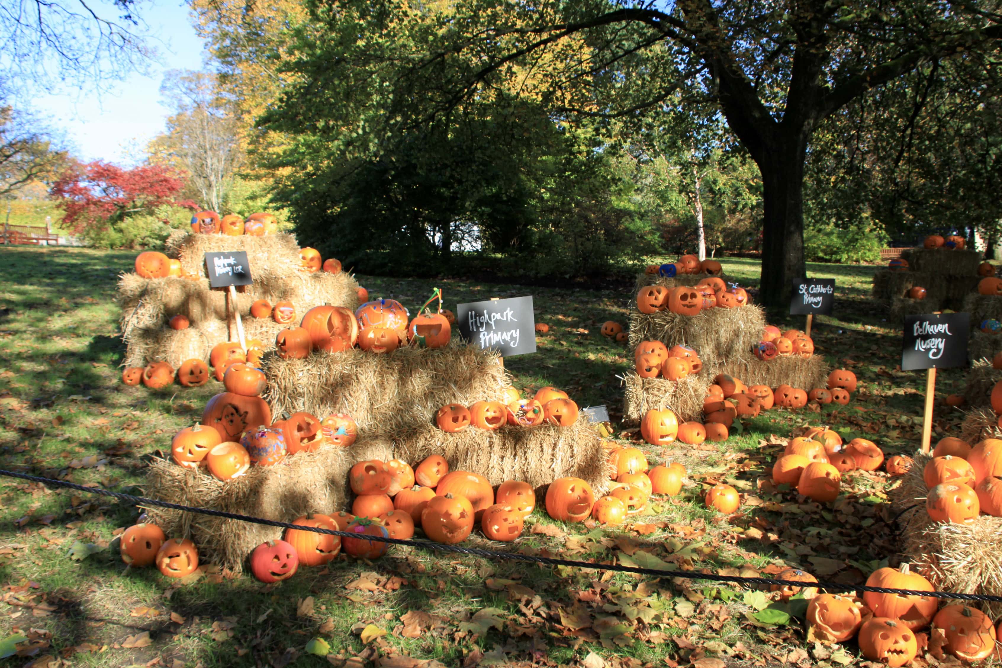 Halloween — #PPAC #19 and CMMC