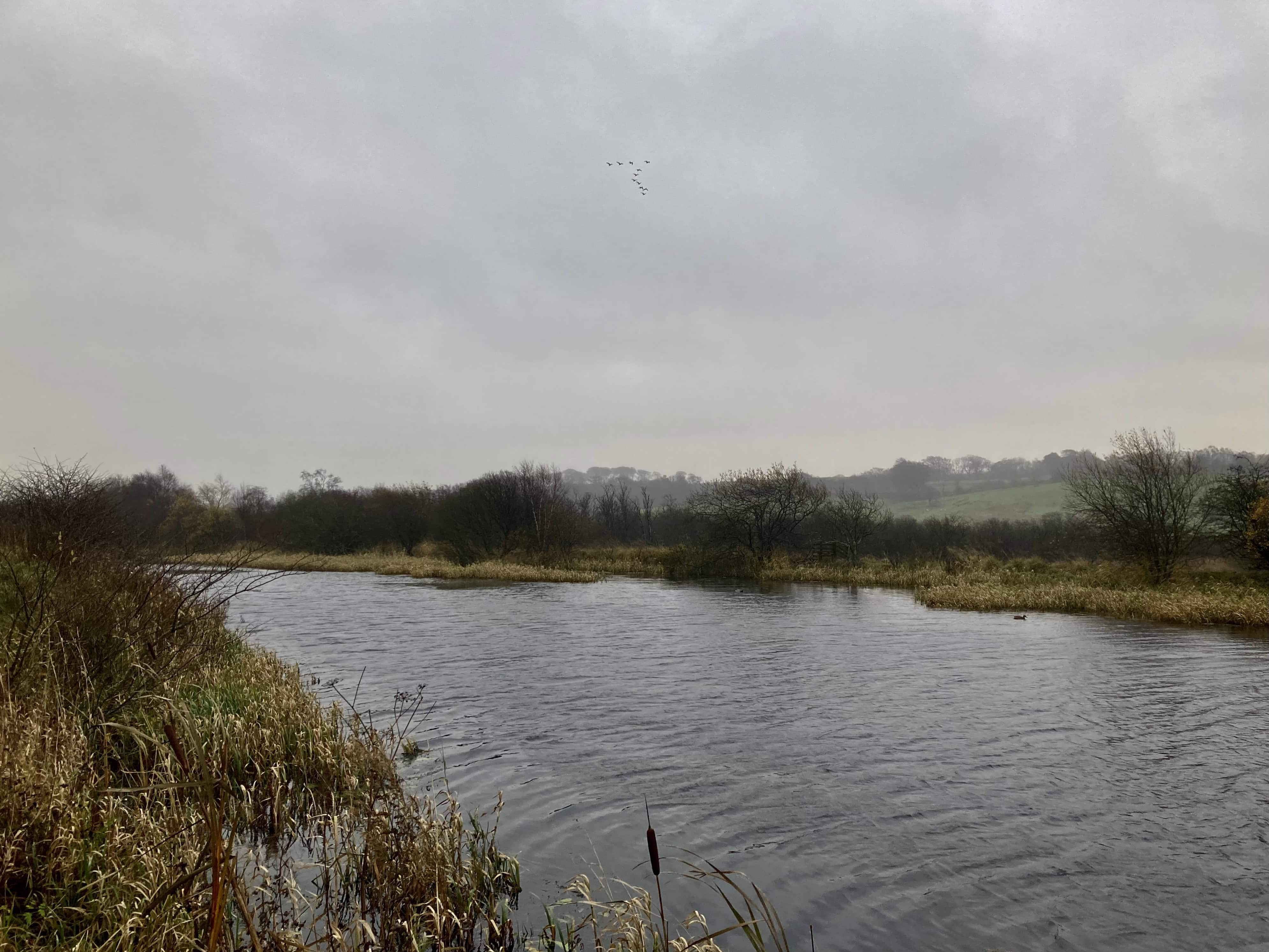 A Dreich Day by the Canal — Fan Of… #135 and Lens-Artists #175