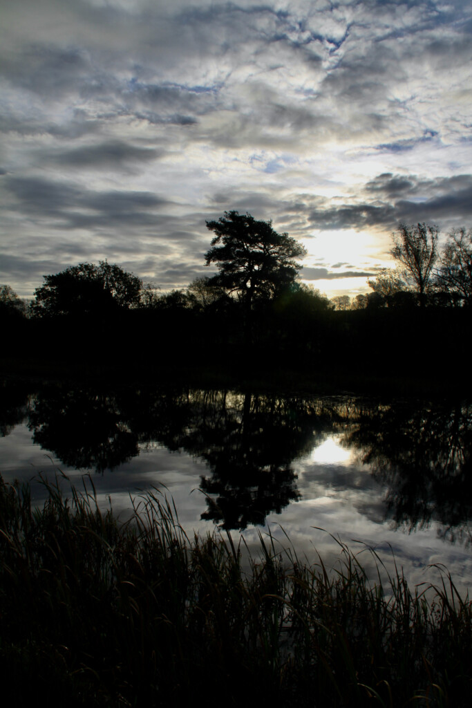 Forth & Clyde Canal