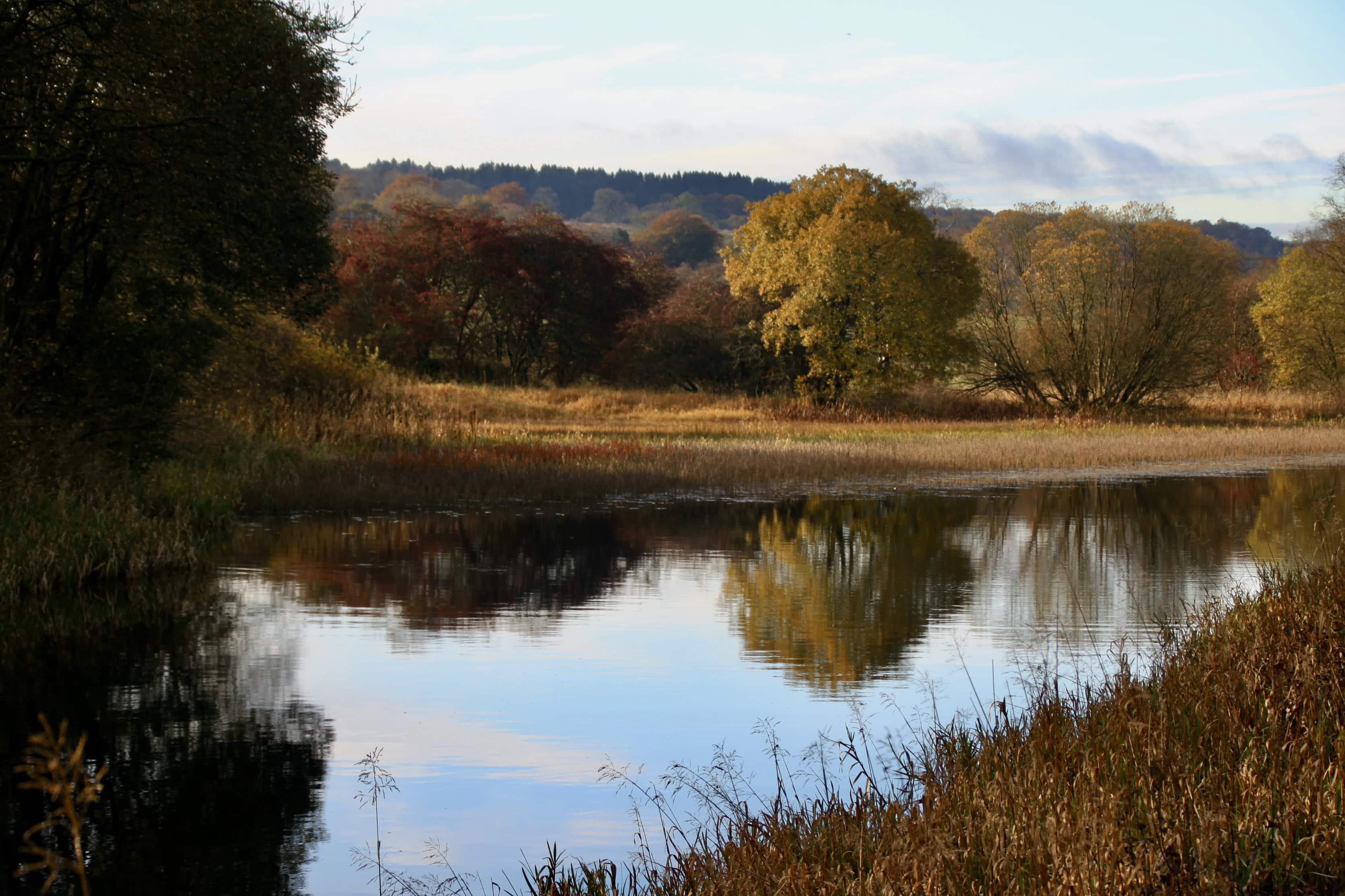 Cycling by the Canal In Autumn — Fan Of… #134