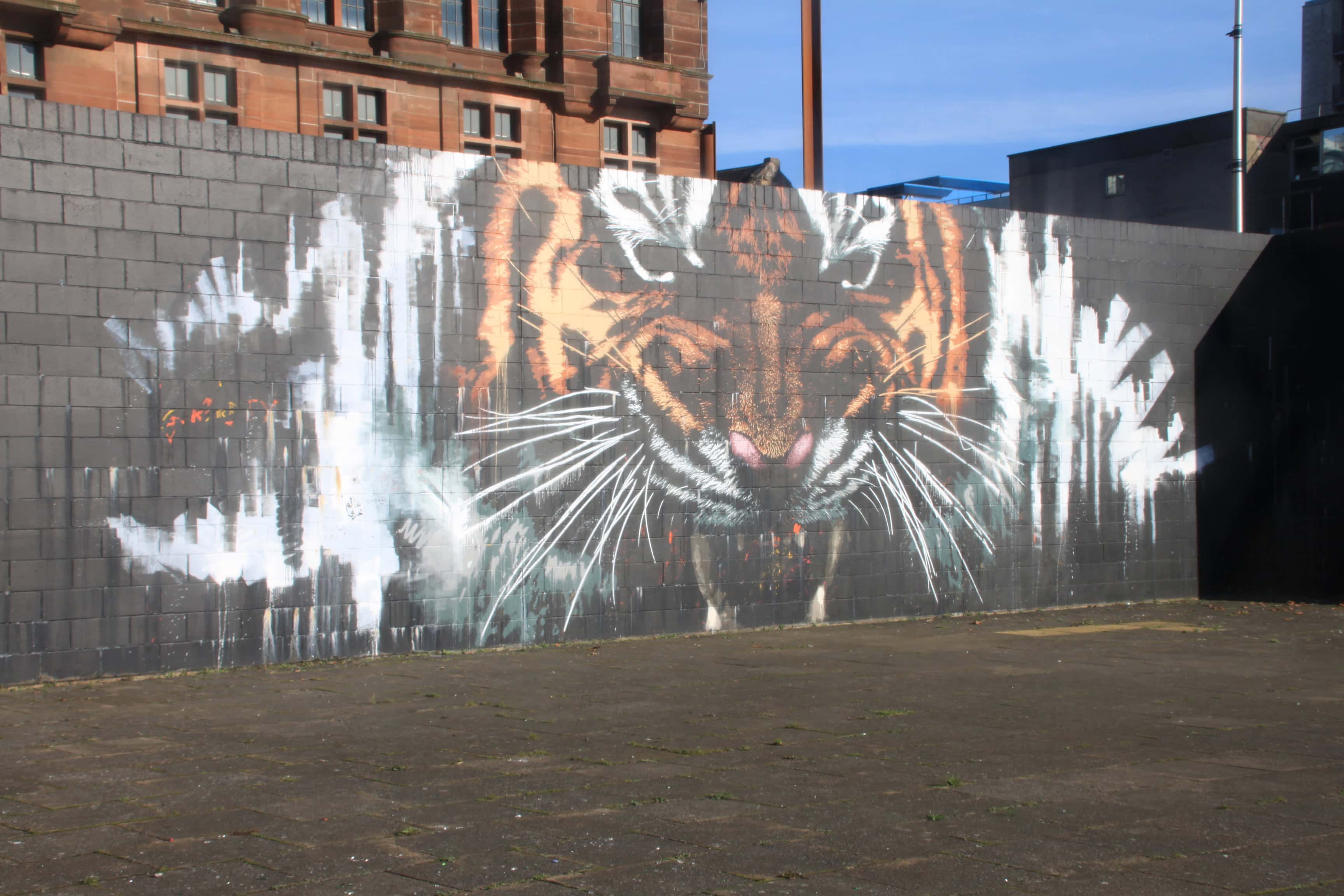 Big Cat in the City — PPAC #22