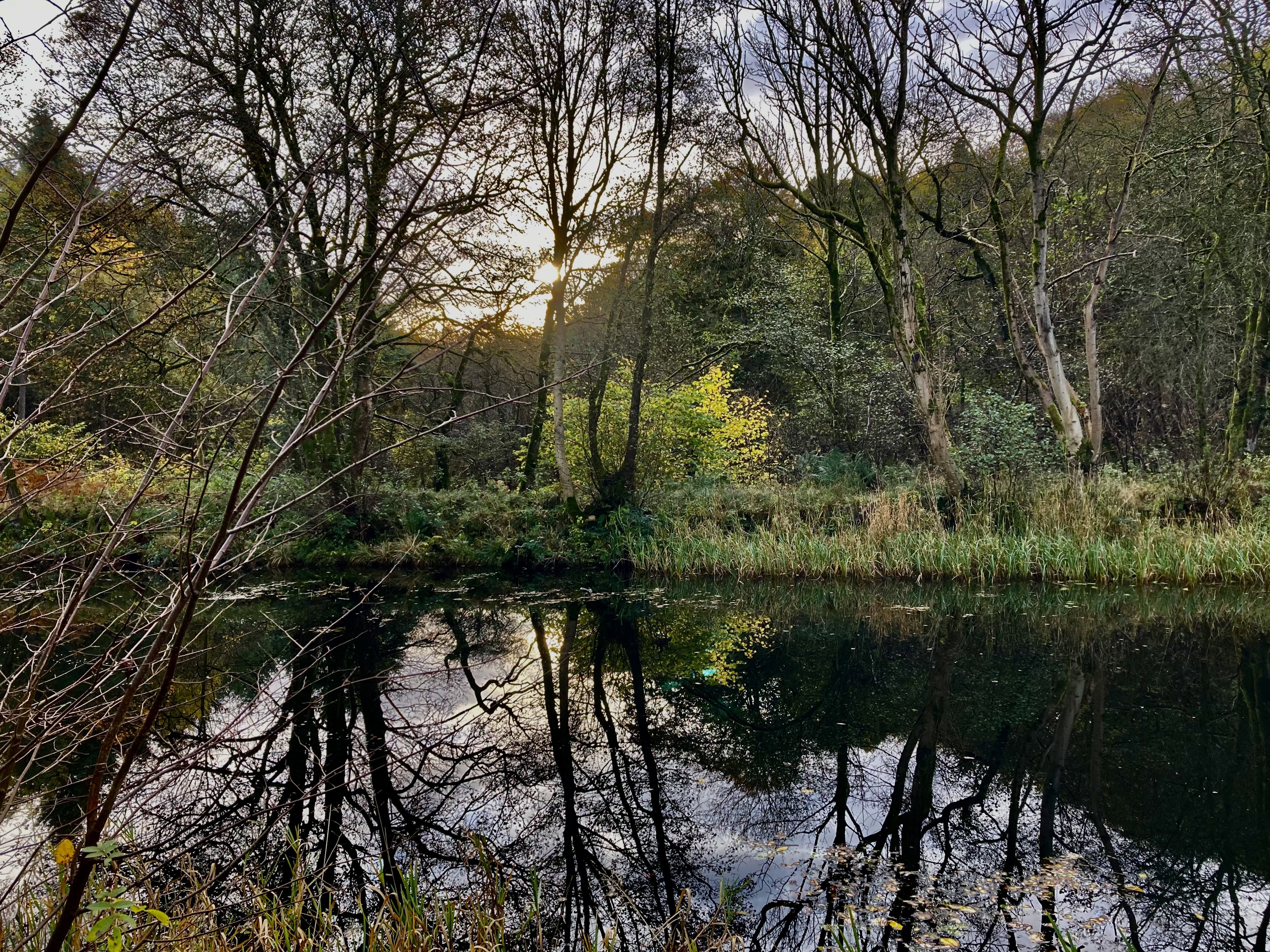 Canal Reflections — Silent Sunday Dec 05