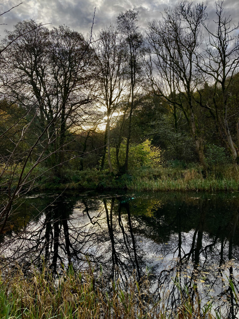 Forth & Clyde Canal