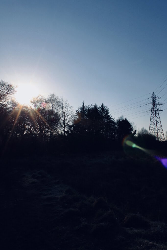 Sunburst through trees