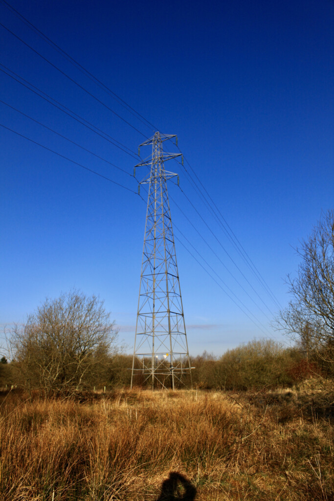 Pylon