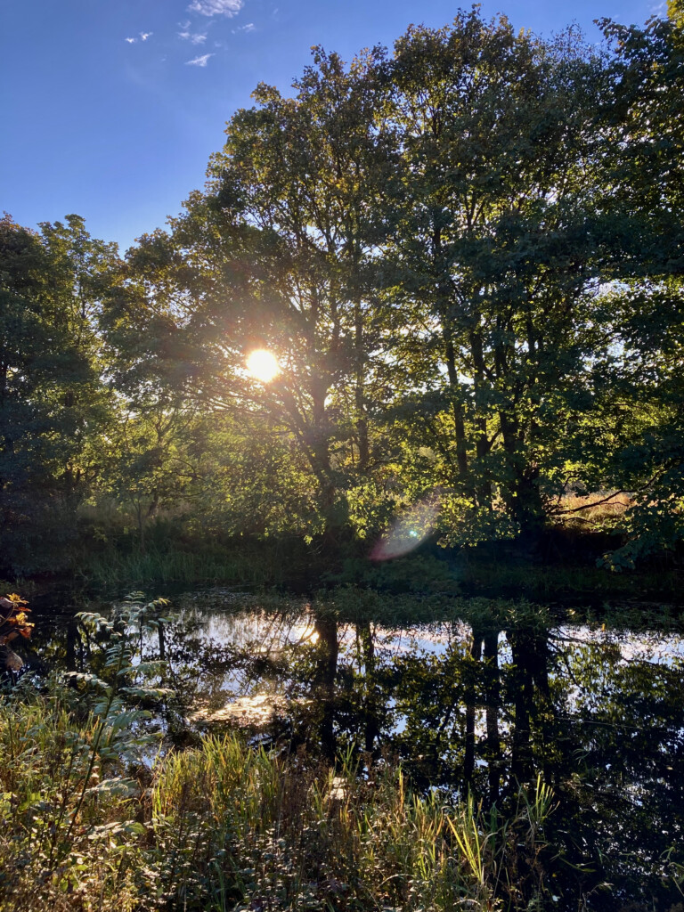 Forth & Clyde Canal
