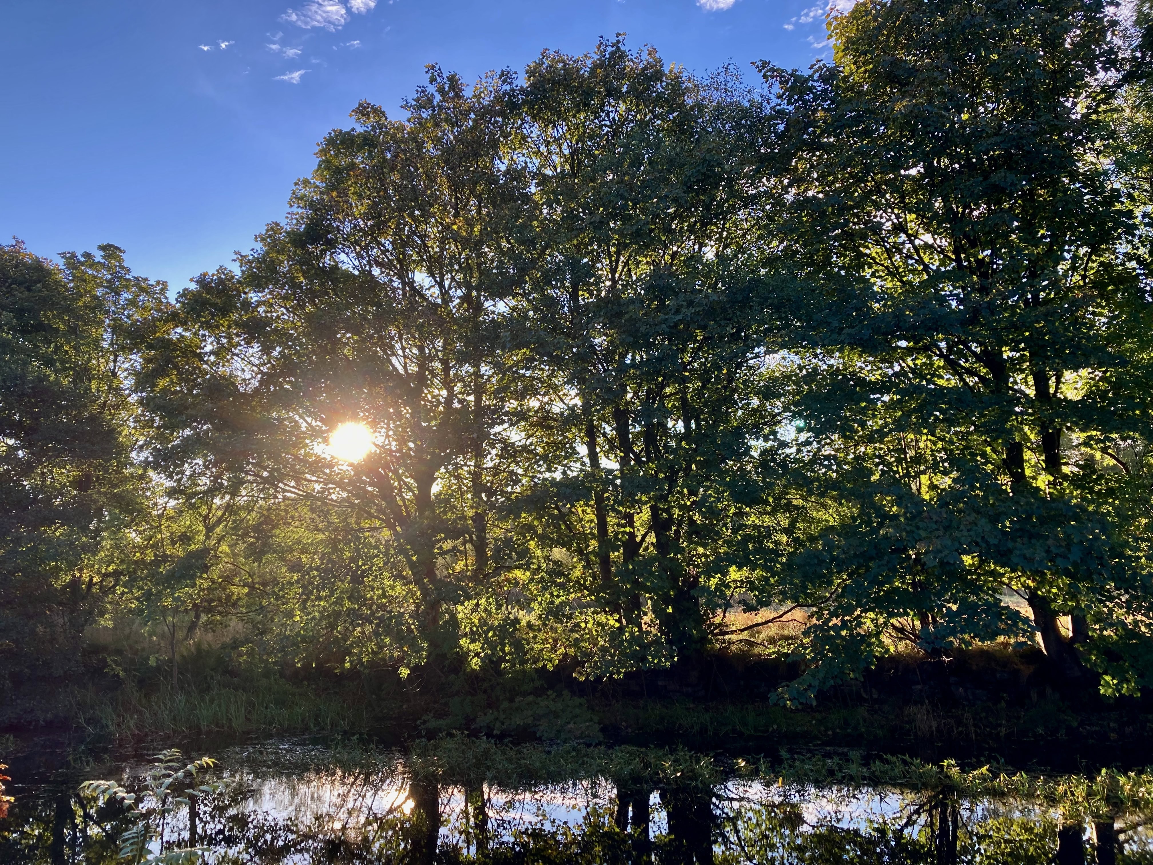 Canal Reflections — Water Water Everywhere #117