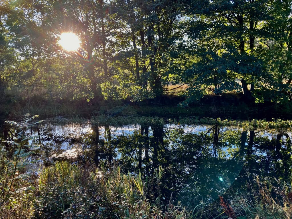 Forth & Clyde Canal