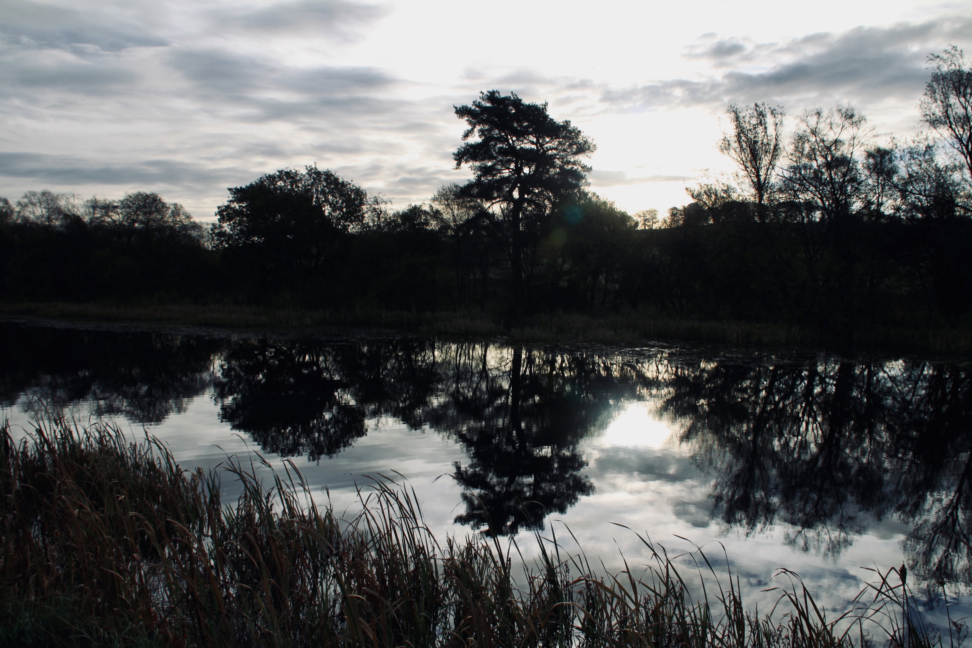 Silent Sunday Jan 02