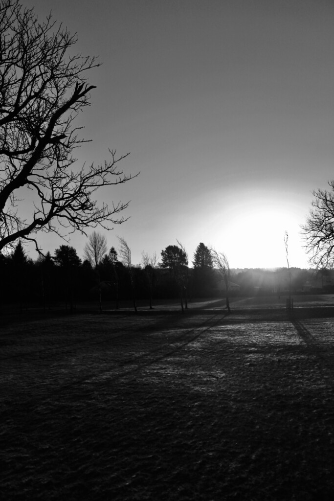 Cumbernauld House Park