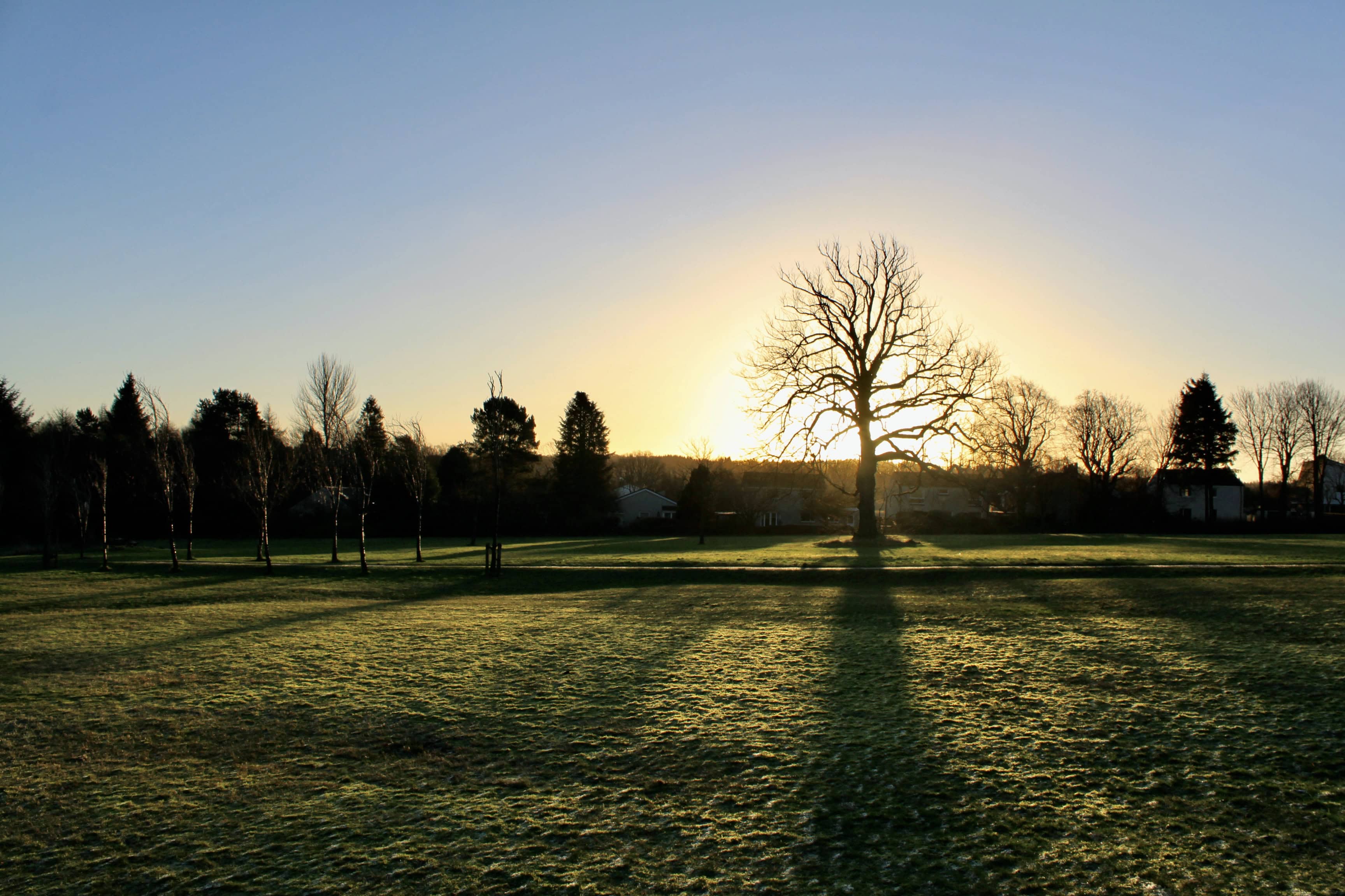 Early Morning Sun Casting Long Shadows