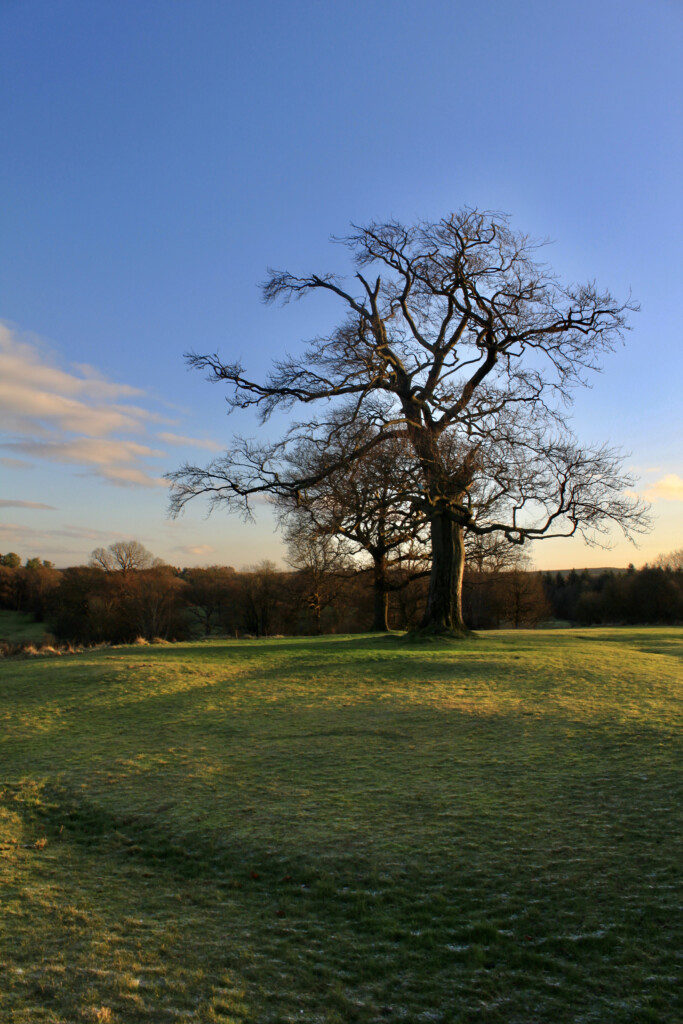 Cumbernauld House Park