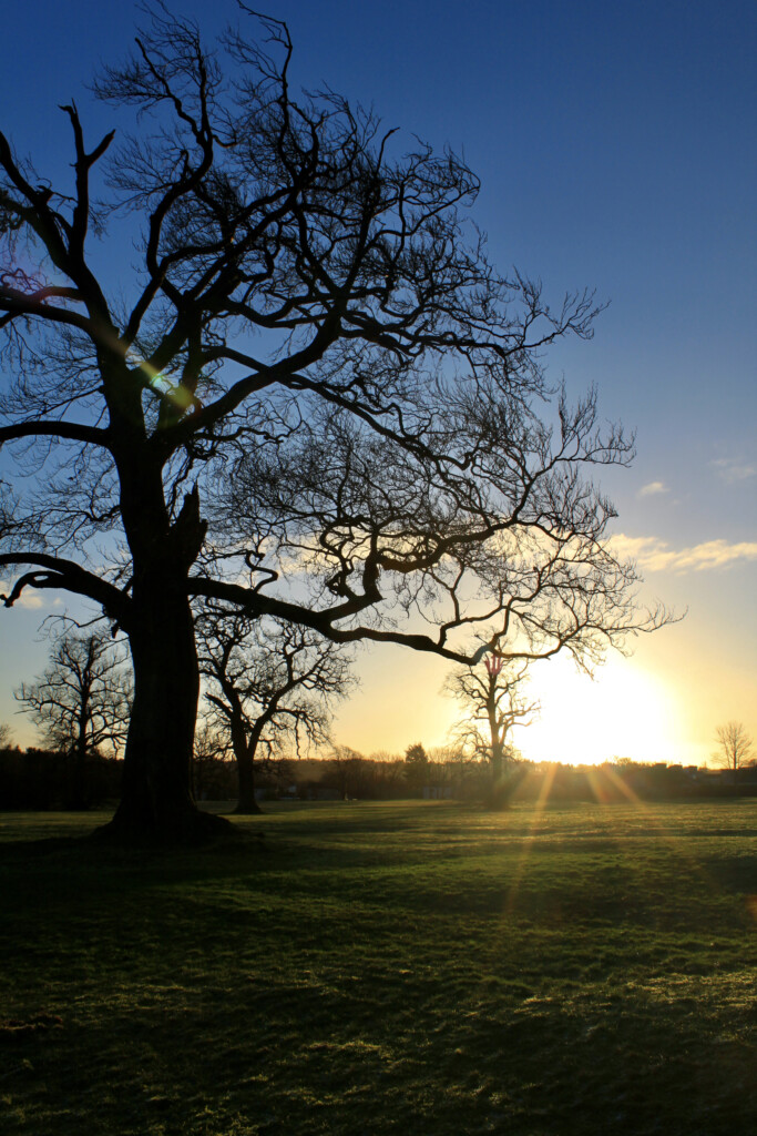 Sunrise in Cumbernauld House Park
