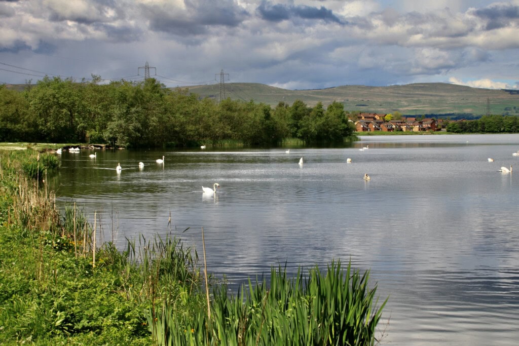 Broadwood Loch