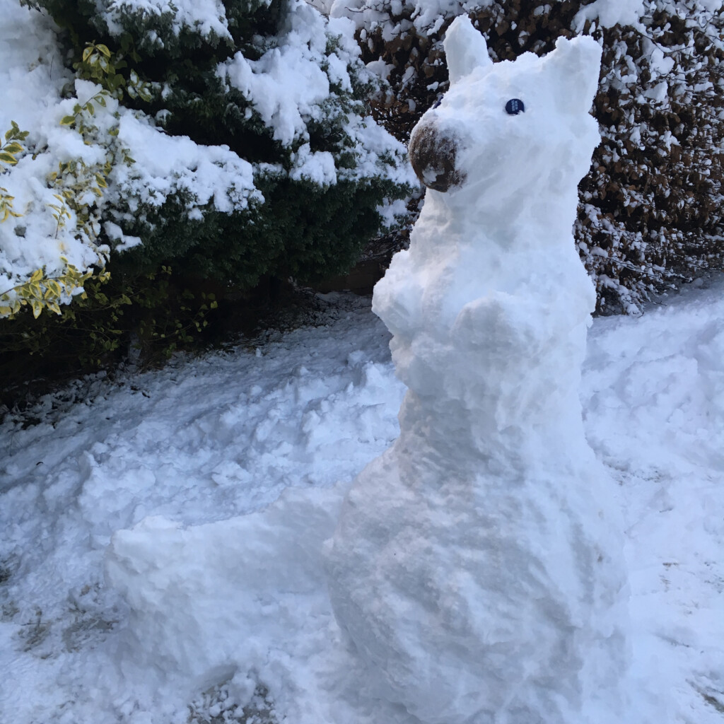 Snow skwurrel