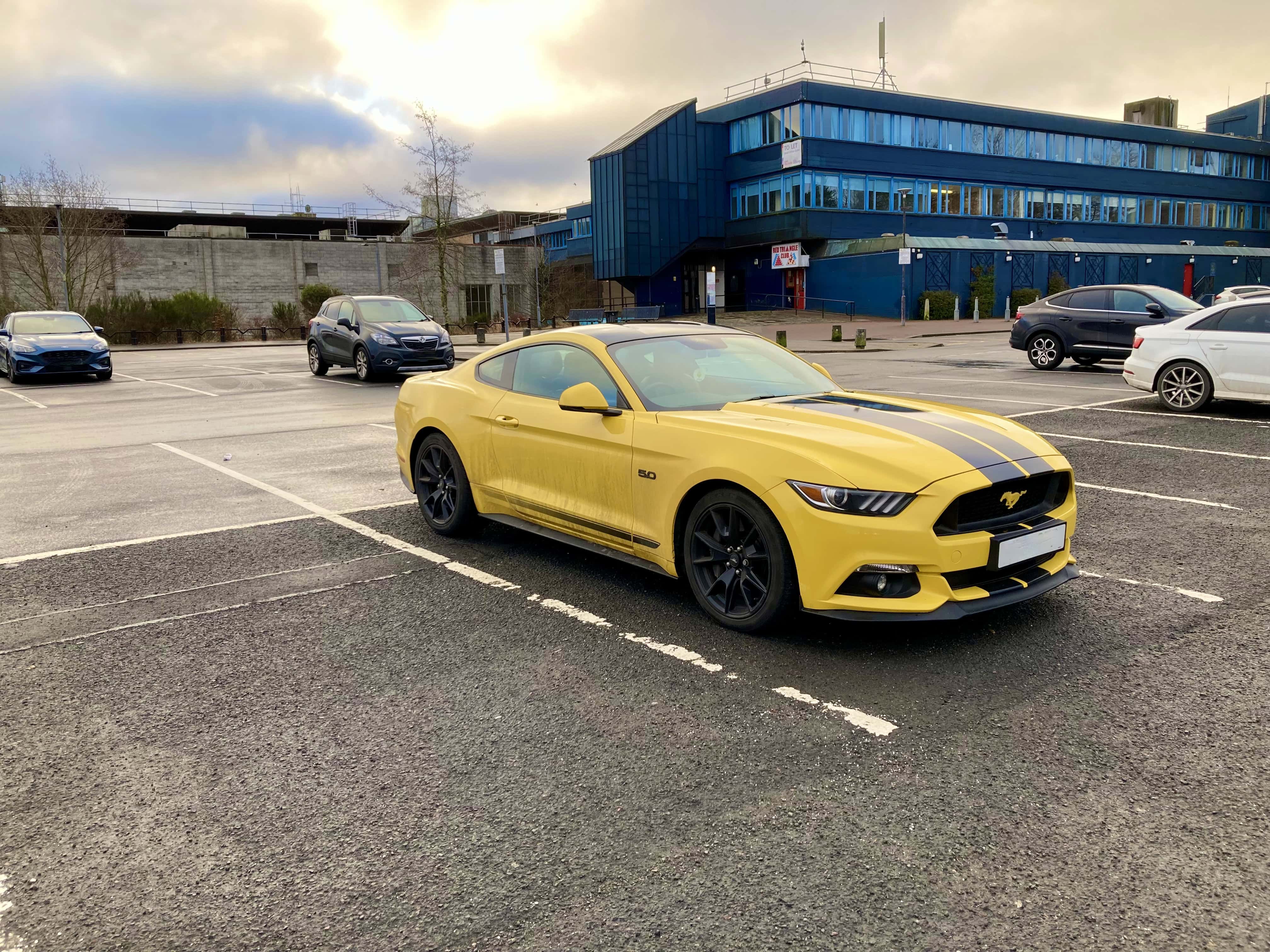 Mustang — Cellpic Sunday Feb 06