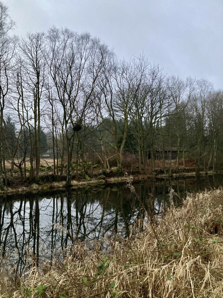 Forth & Clyde Canal