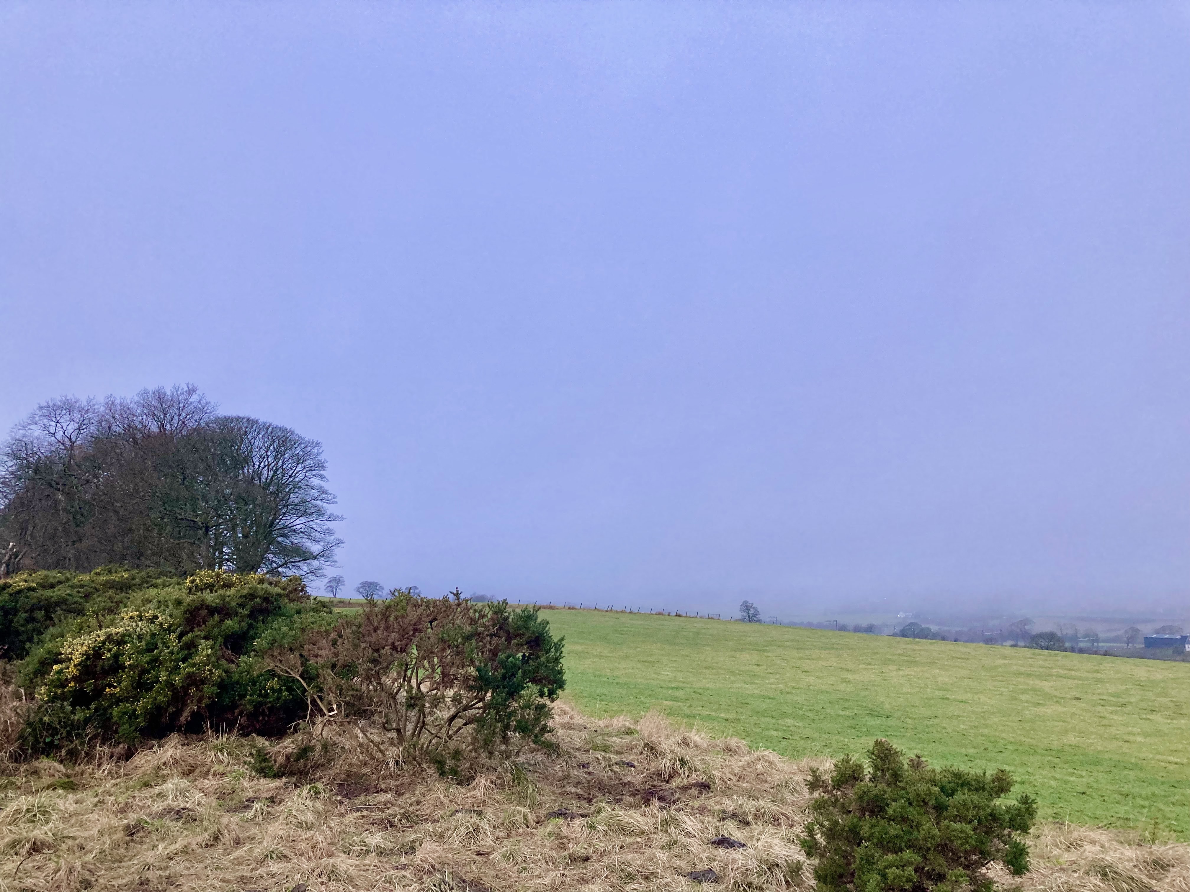 Hills Lost in the Clouds — Silent Sunday Feb 13
