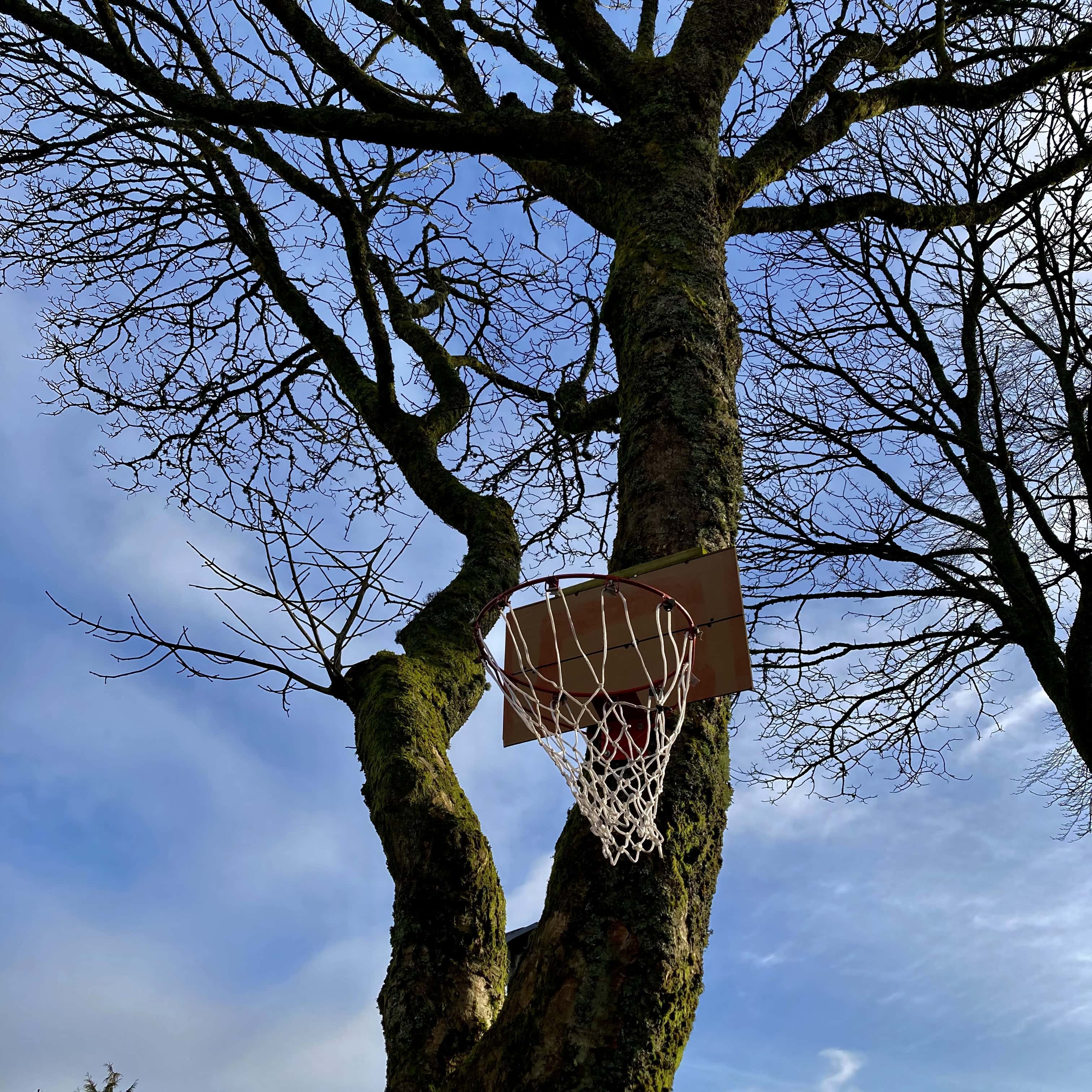 For the Squirrels to Play Basketball