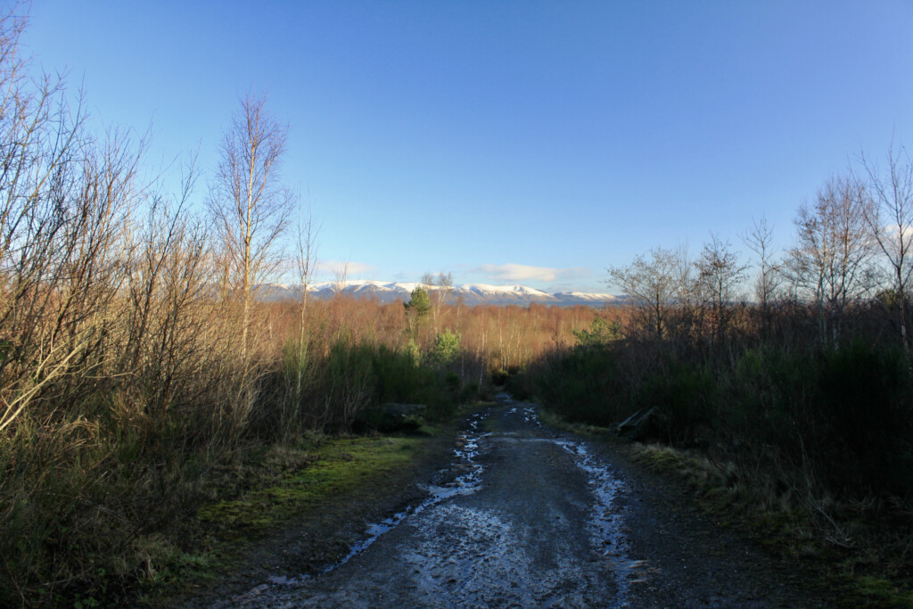 Alternative path