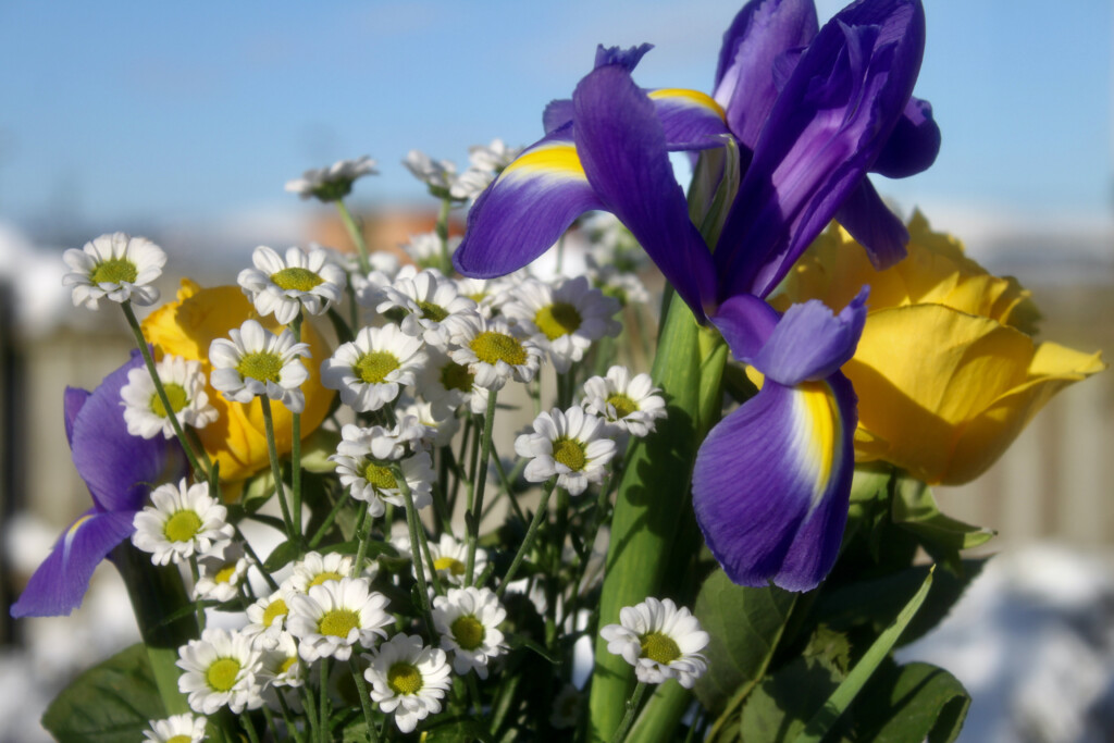 Bouquet