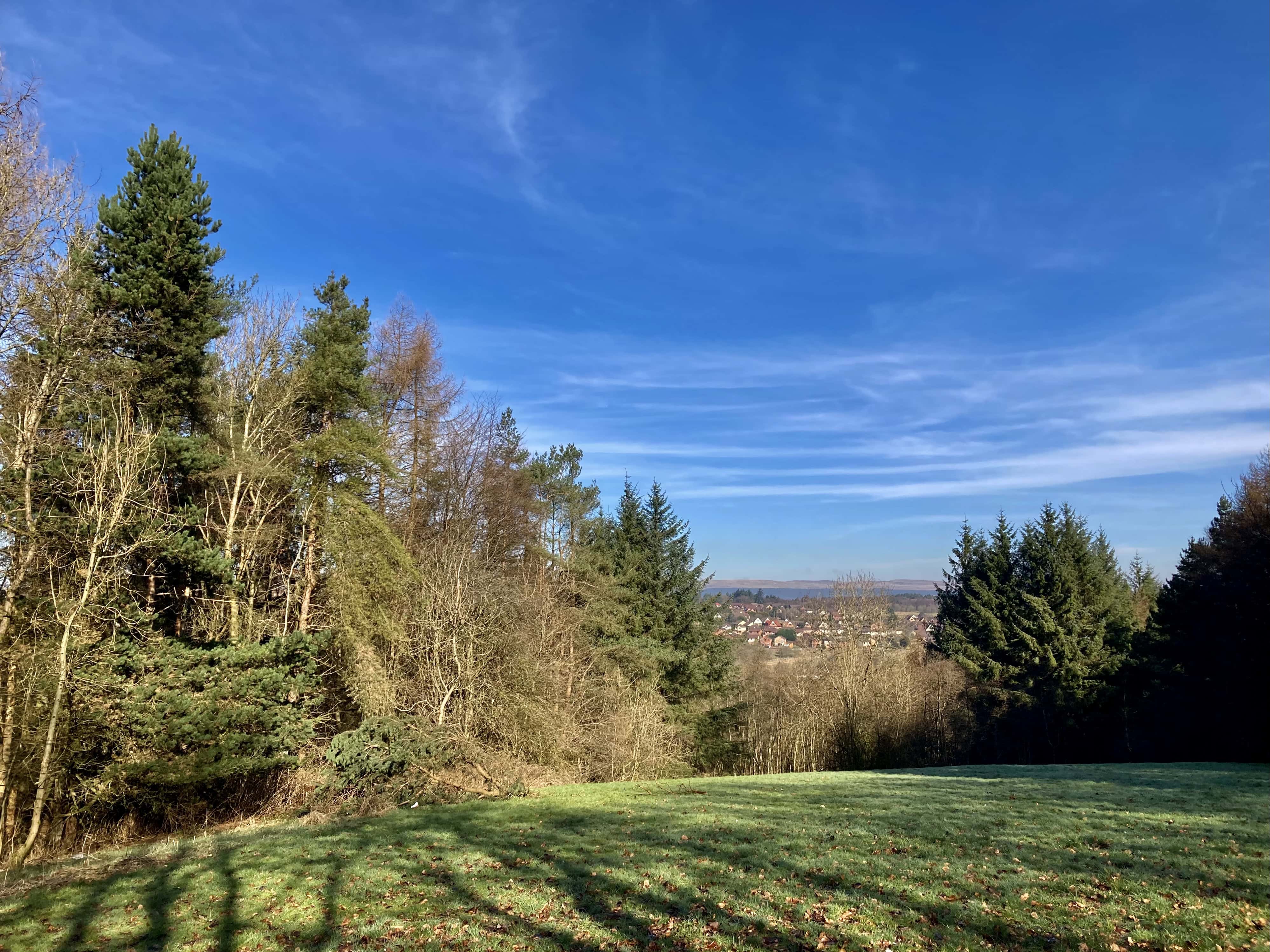 A Break In The Trees — Cellpic Sunday