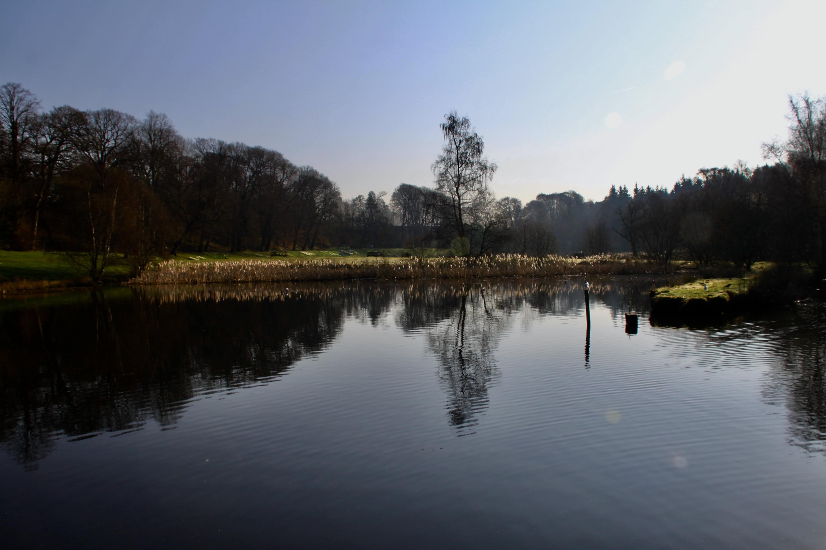 Lunch at Callendar Park — Fan Of… #150