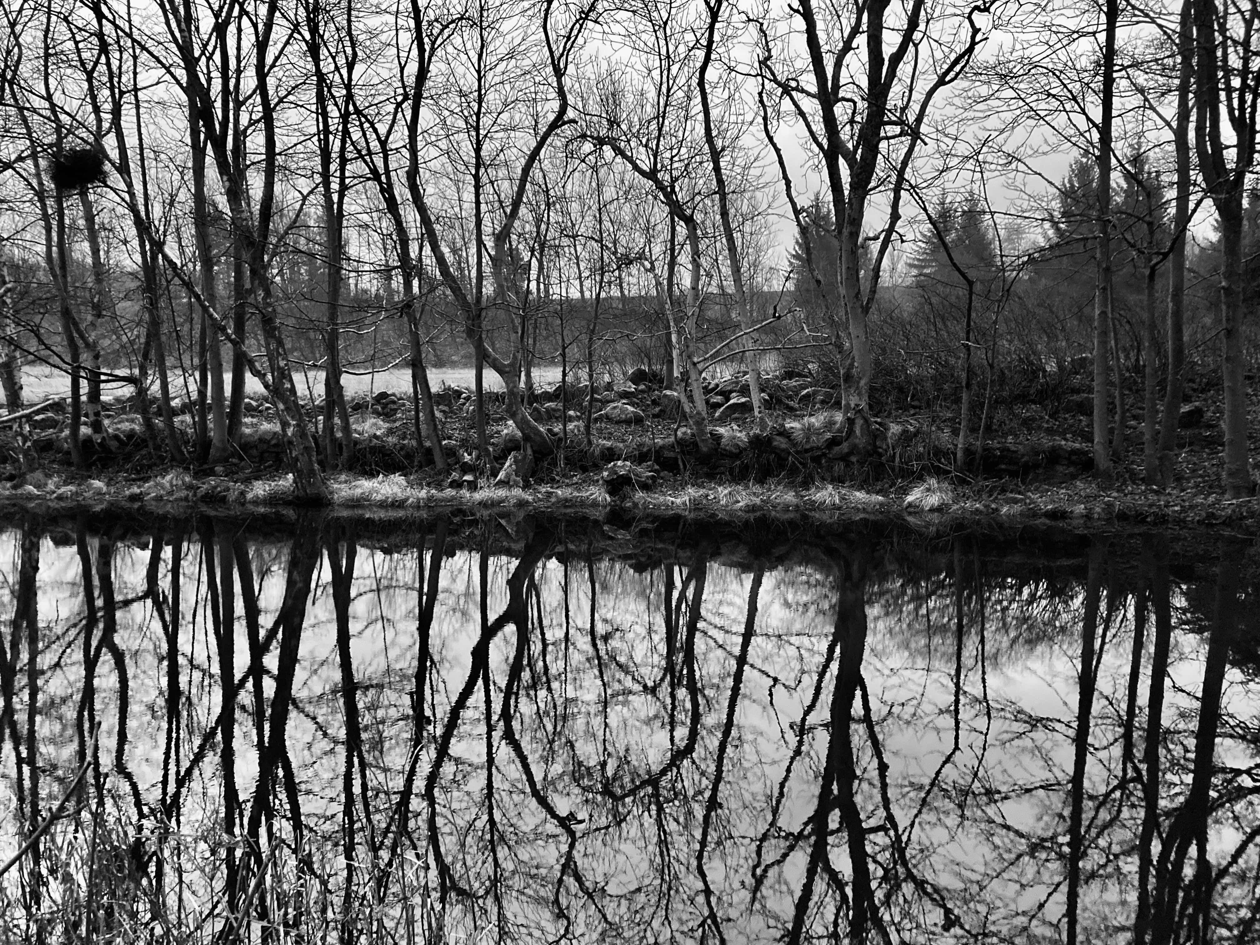 Monochrome Canal — Cellpic Sunday