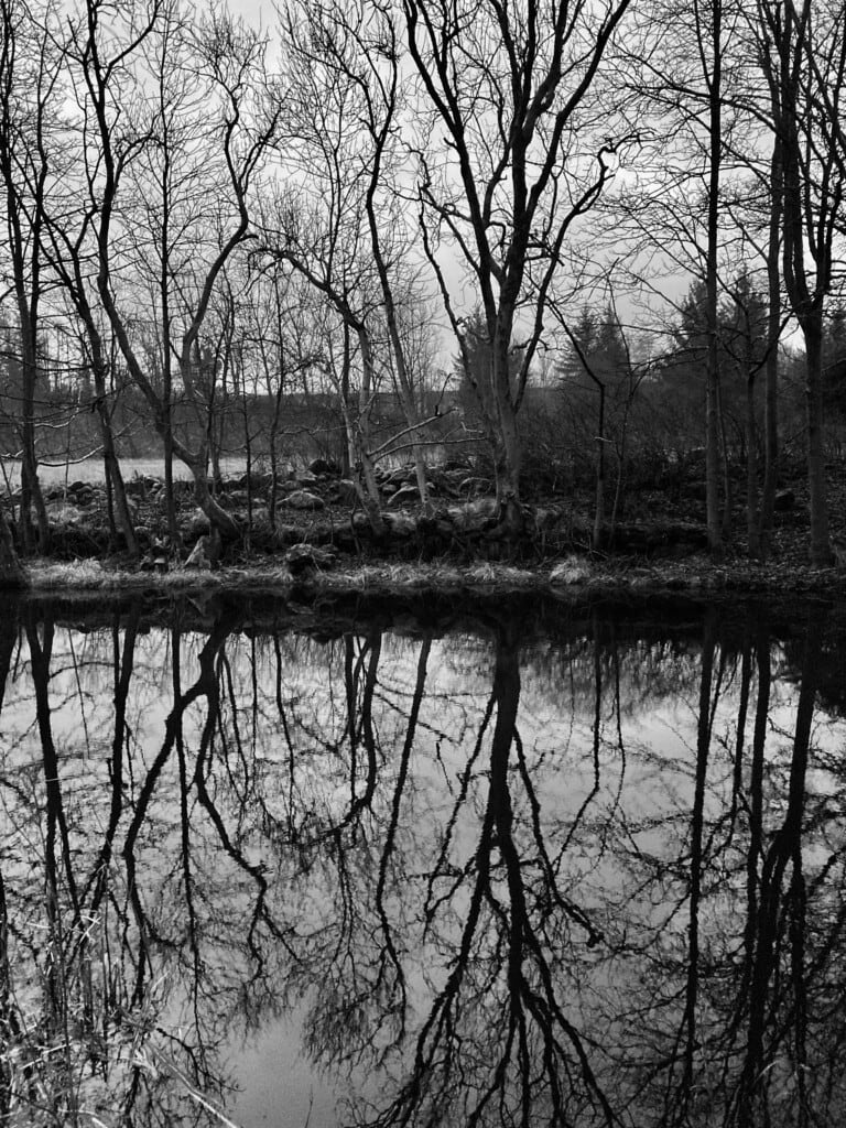 Forth & Clyde Canal