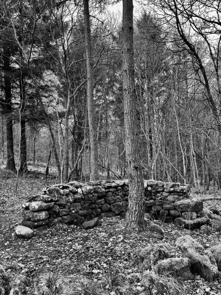 Wall in the woods