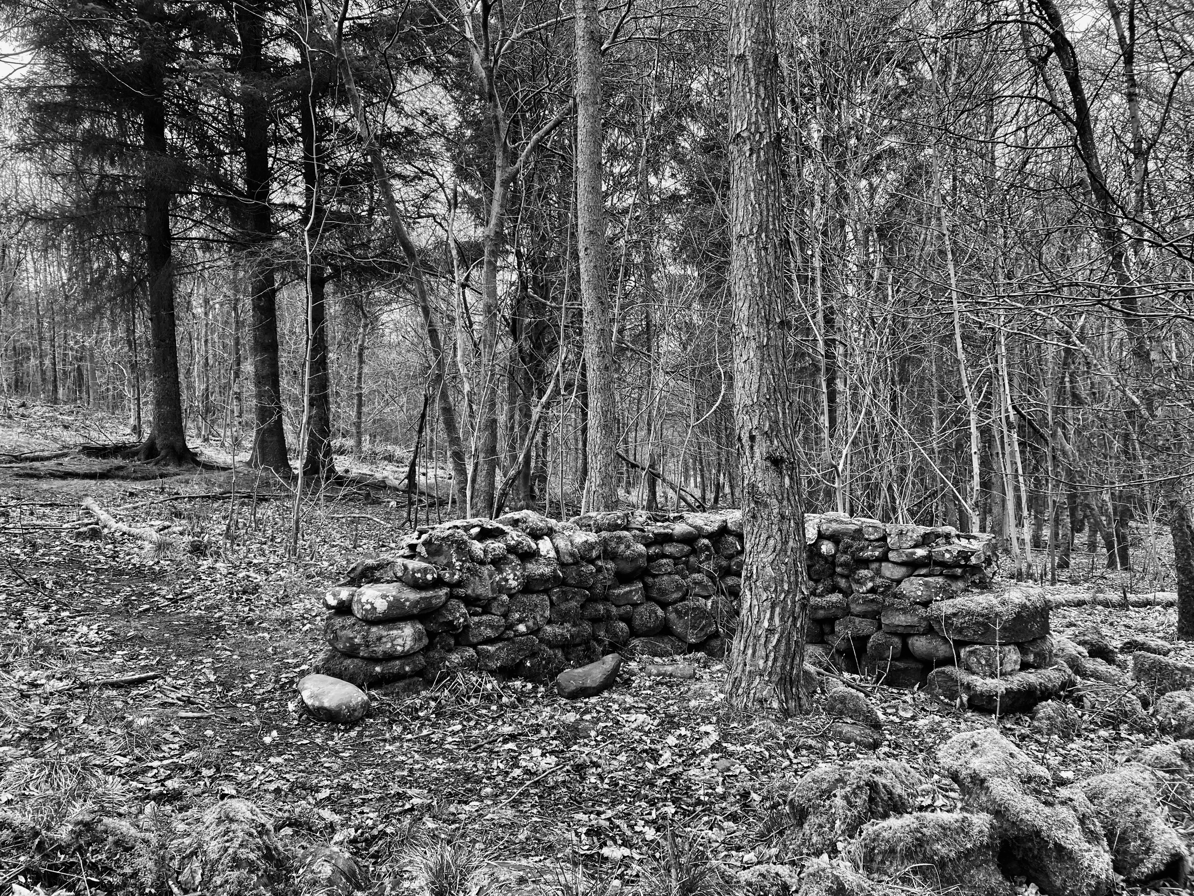 Silent Sunday Apr 10