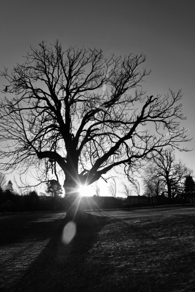 Cumbernauld House Park