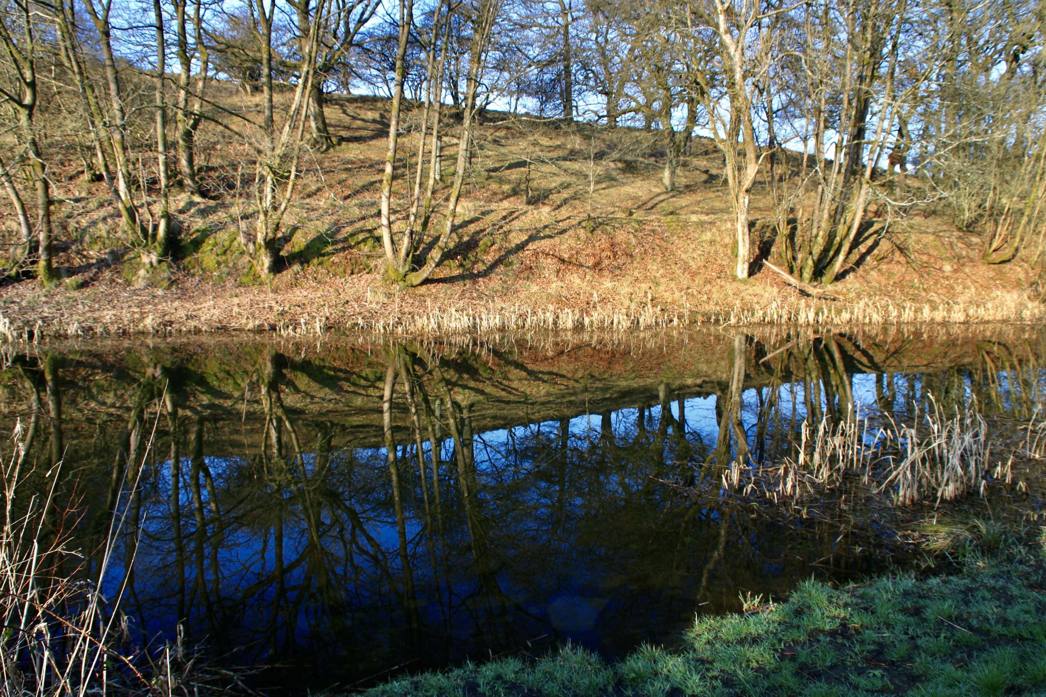 Canal Reflections — Water Water Everywhere #122