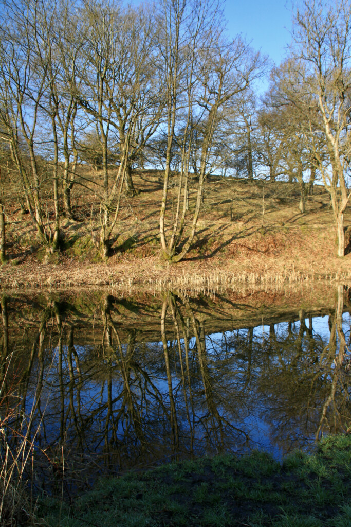Forth & Clyde Canal