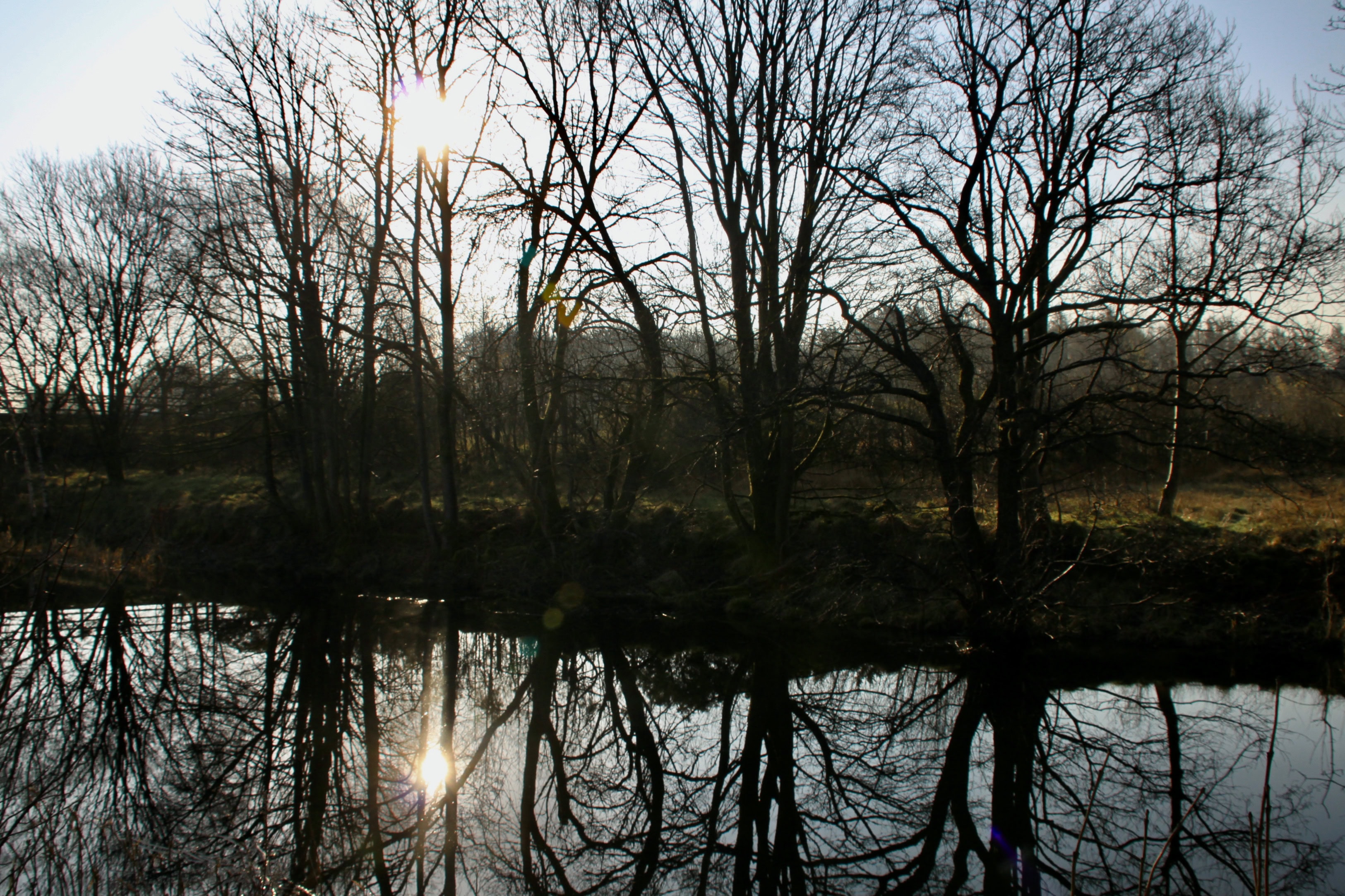 Canal Reflections — Water Water Everywhere #123