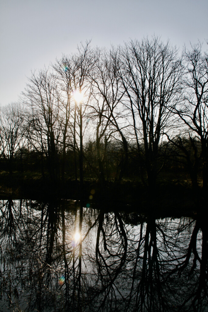 Forth & Clyde Canal