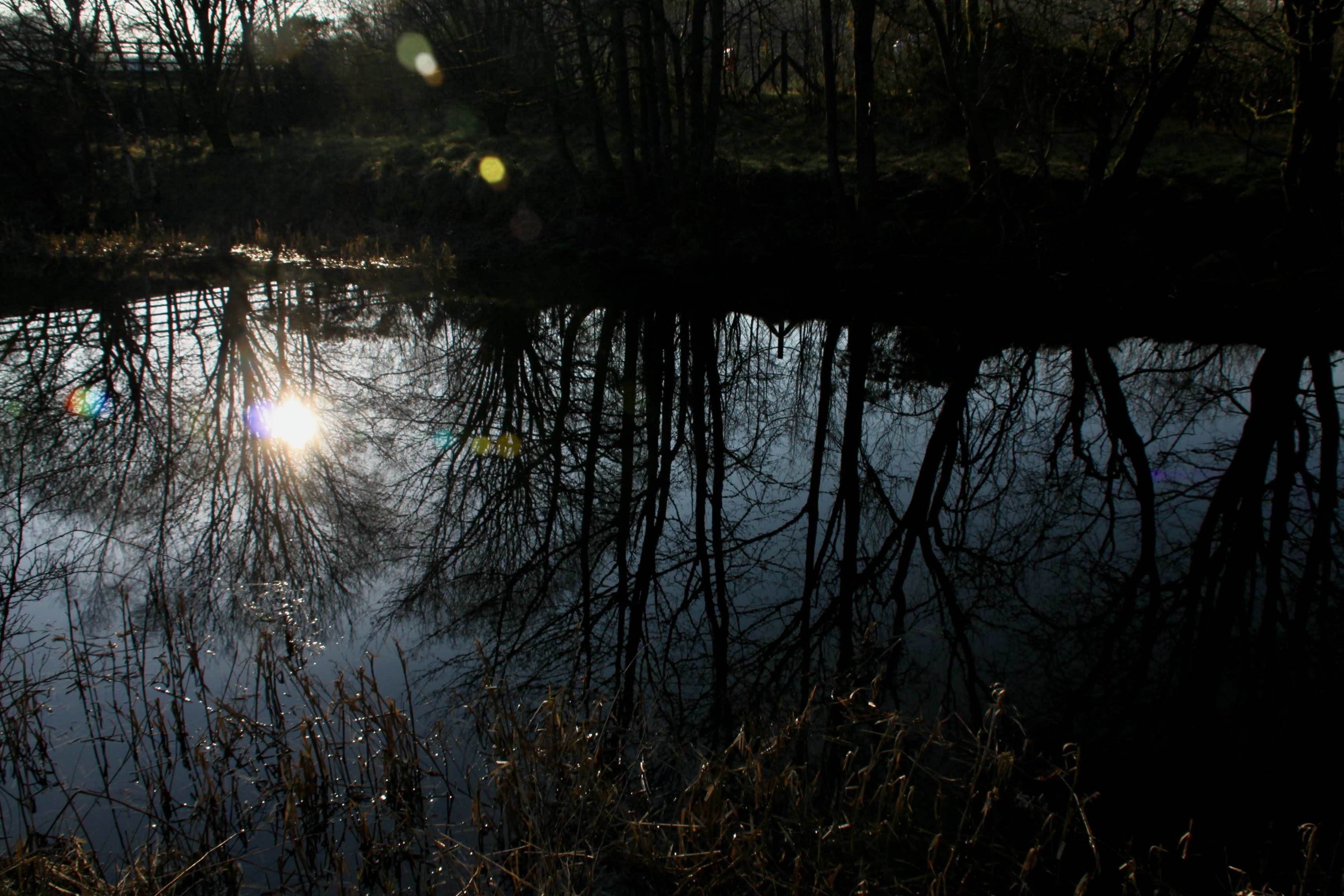 Canal Reflections — Water Water Everywhere #124