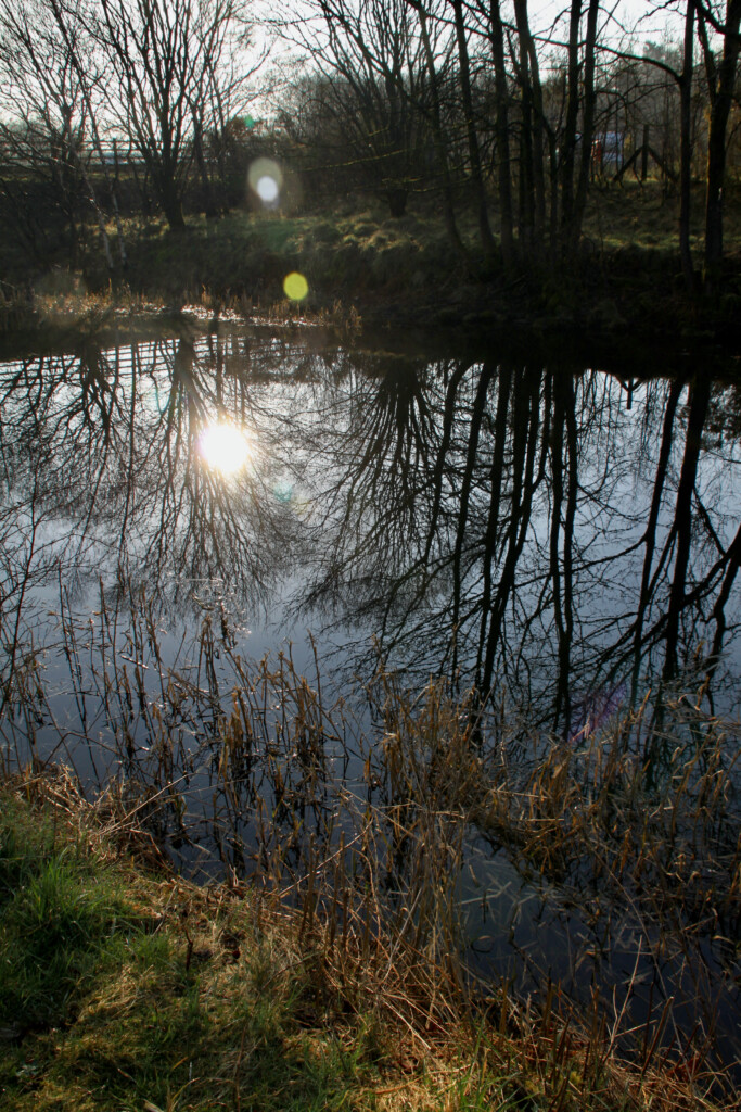 Forth & Clyde Canal
