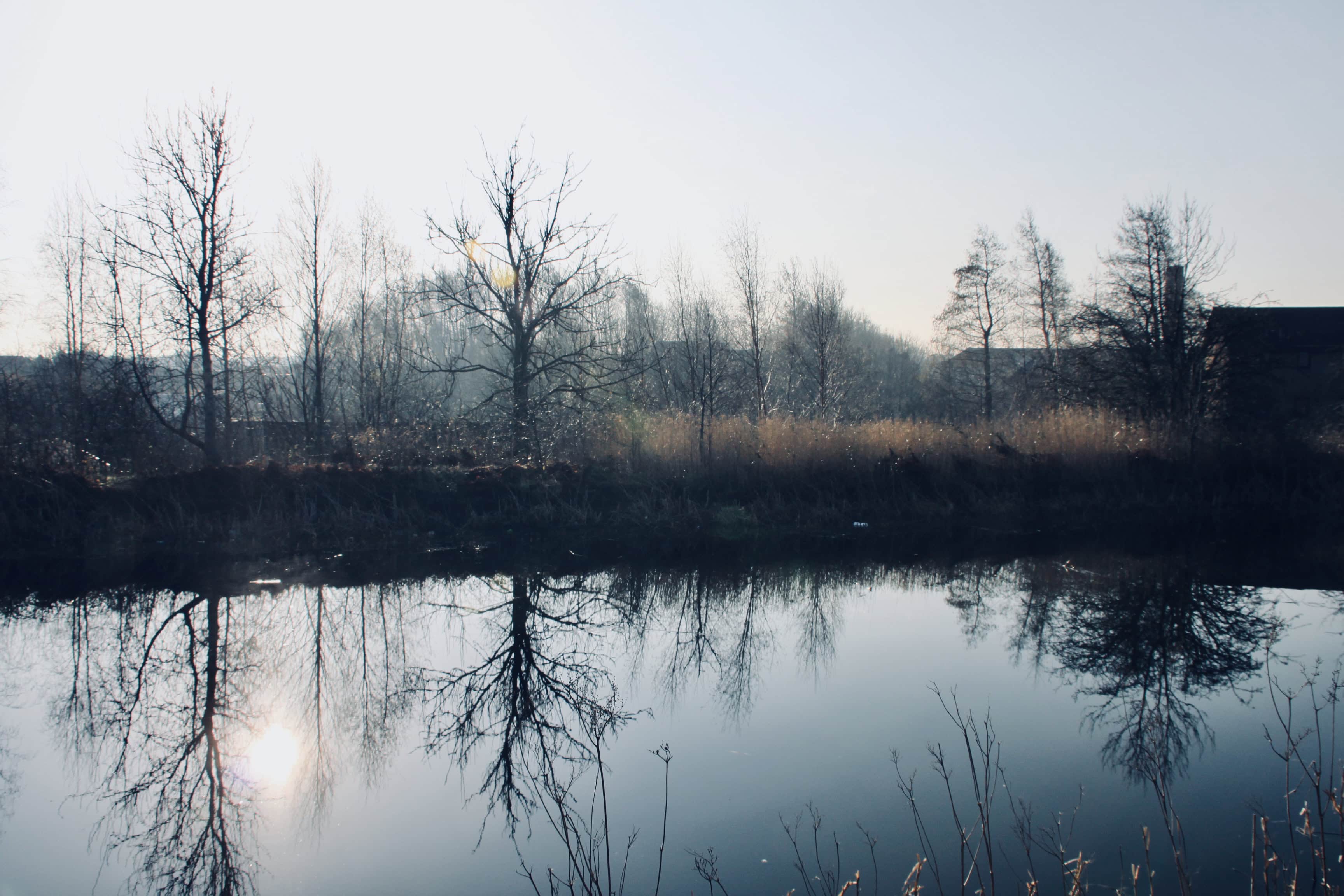 Canal Reflections — Water Water Everywhere #125