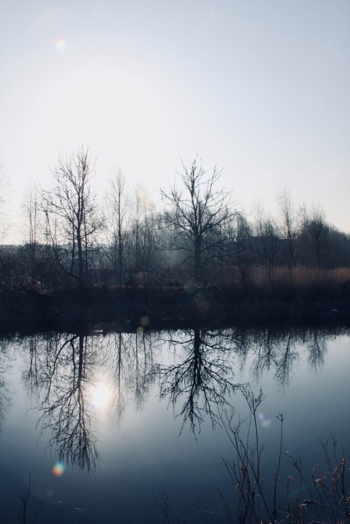 Forth & Clyde Canal