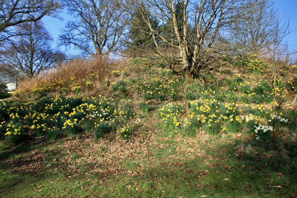 Antonine Wall at Callendar Park