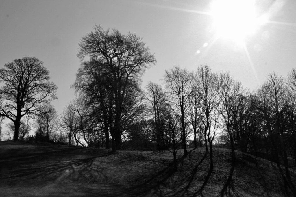 Callendar Park