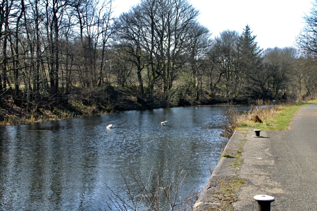 Forth & Clyde Canal