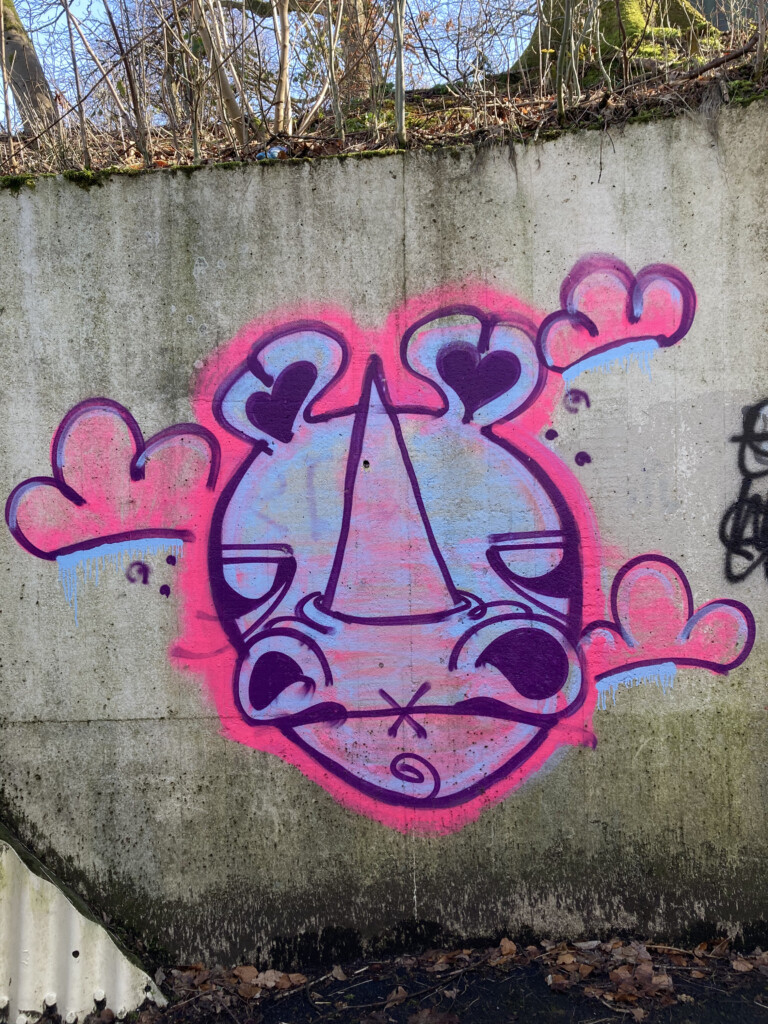 Rhino graffiti