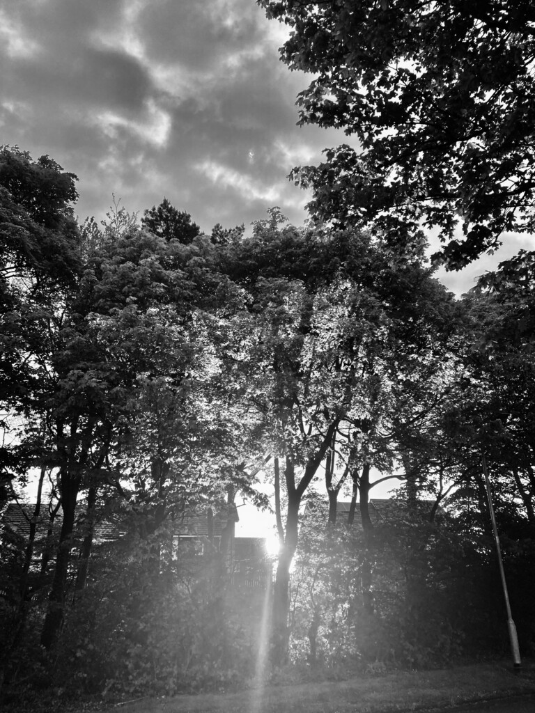 Early sun