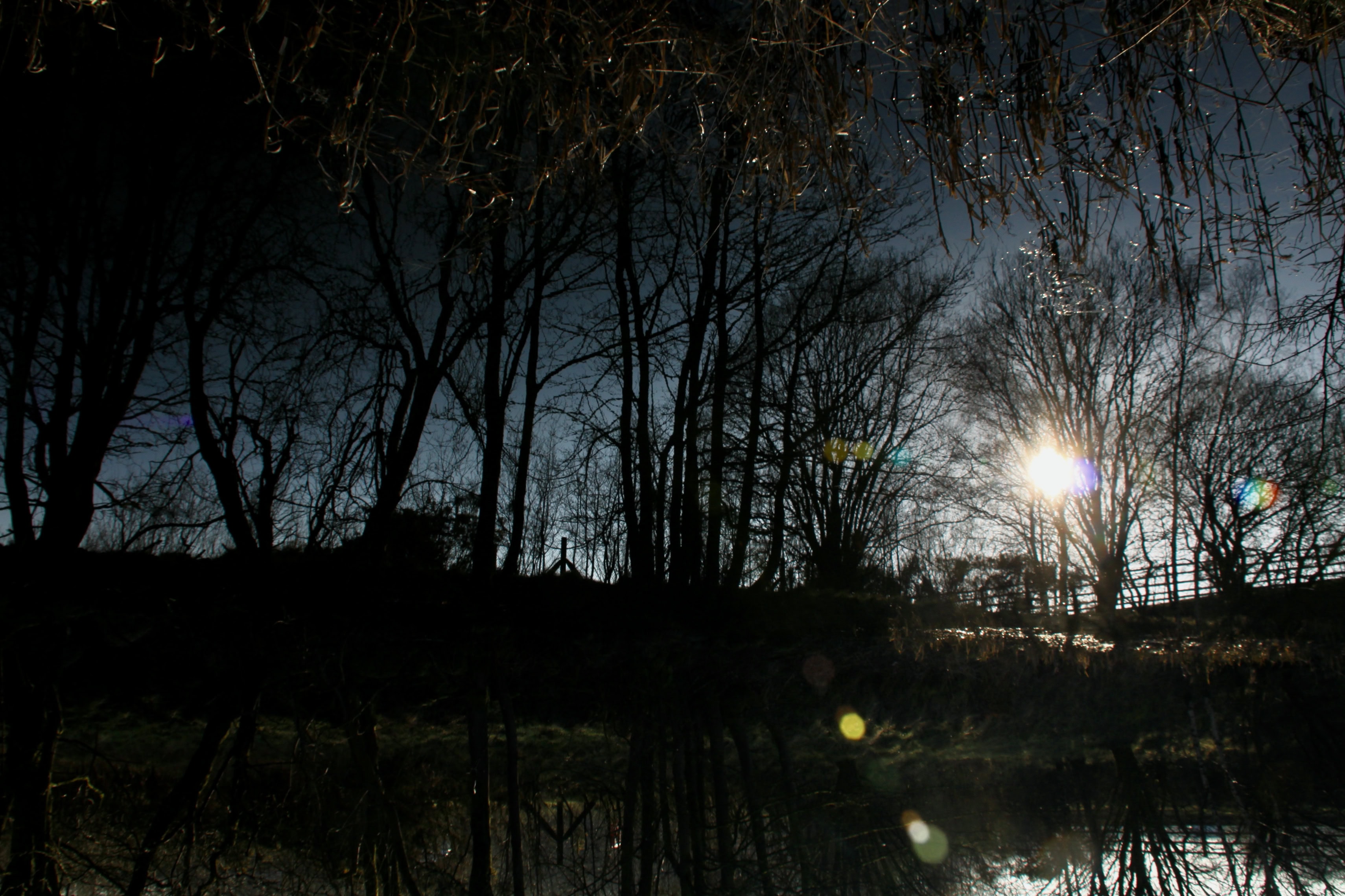 Canal Reflections — It’s a Tapsalteerie World