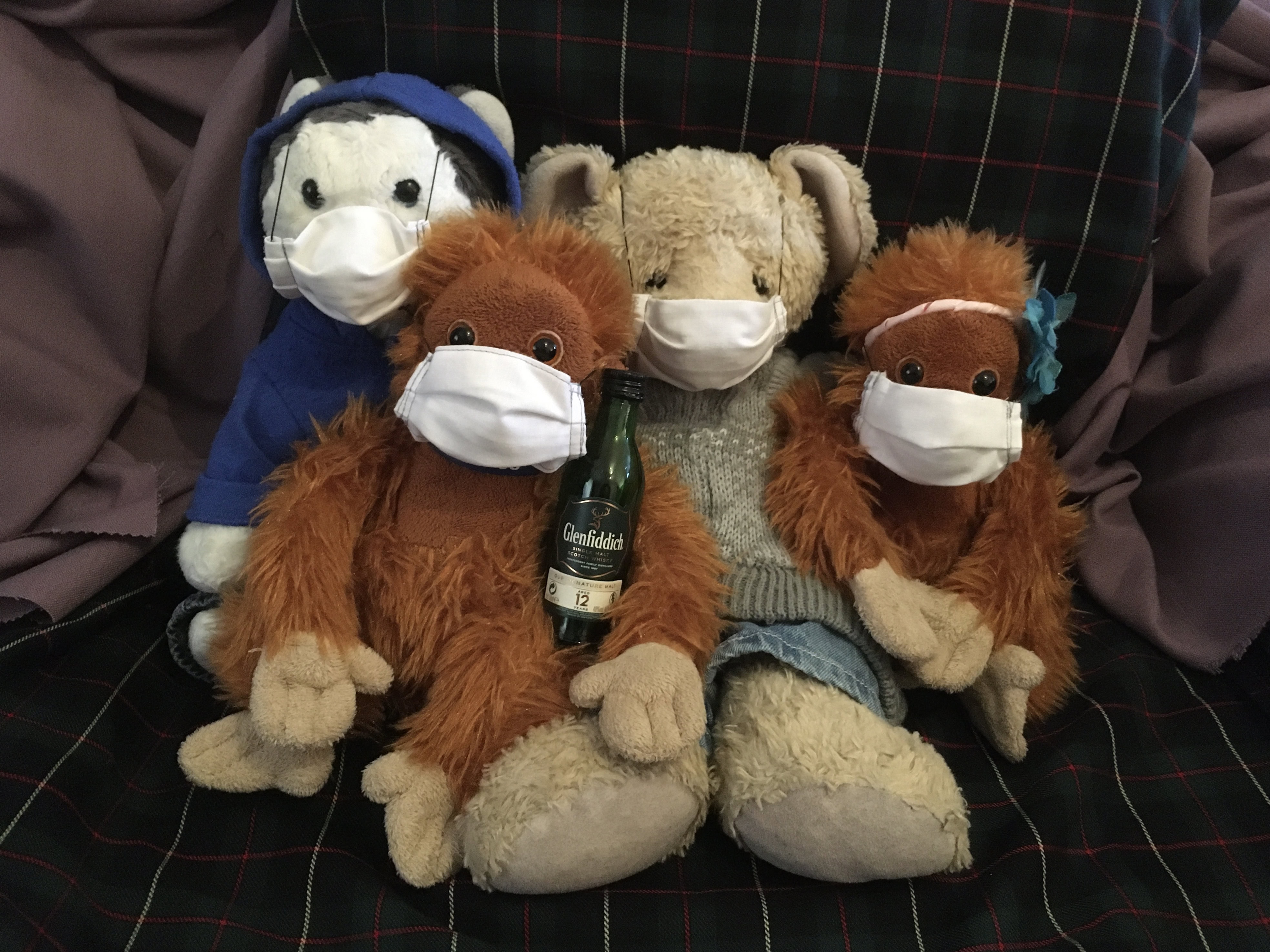 An Odd Looking Bunch — RDP