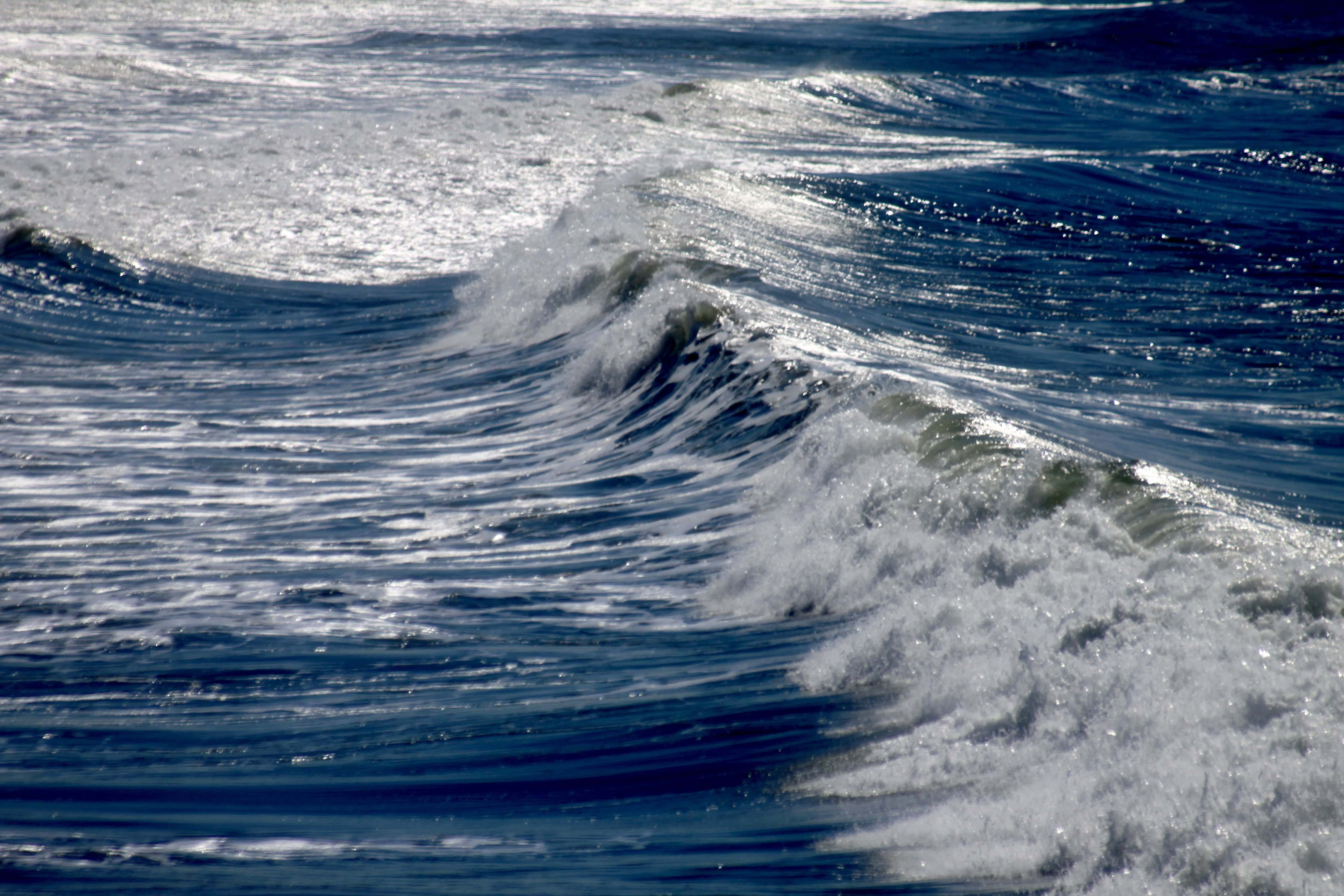 Wave — One Word Sunday