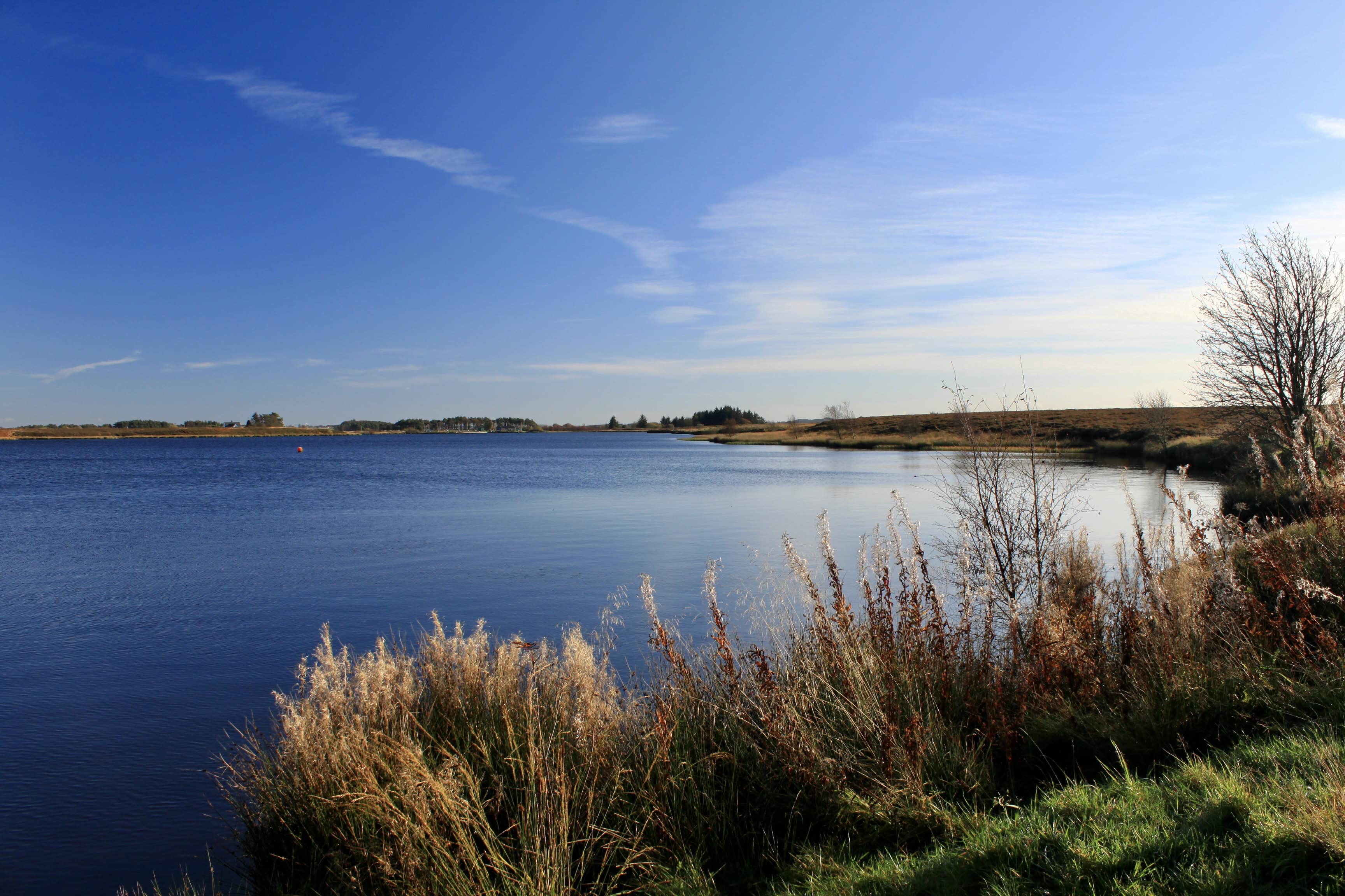 Fannyside Lochs — Water Water Everywhere #138