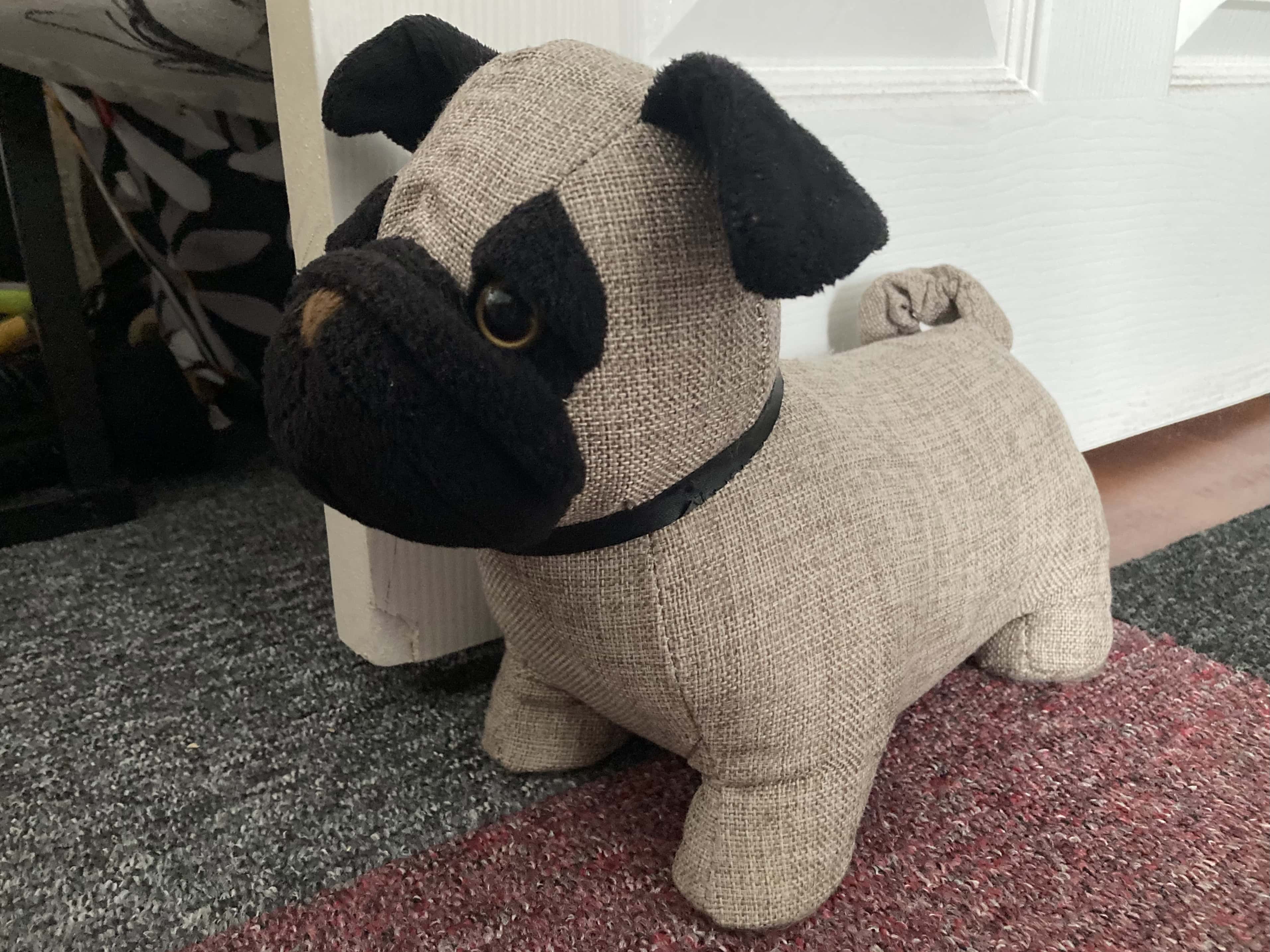 Meet Pugsley — RDP